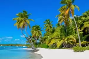 Caribe